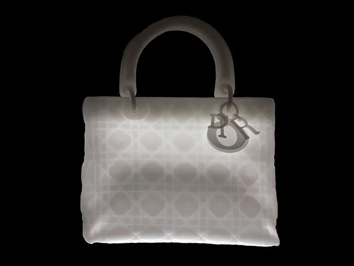 Lady Dior - As Seen By